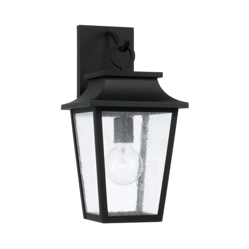 Capital Lighting 953311BK Chandler One Light Outdoor Wall Lantern, Black Main Image.jpg