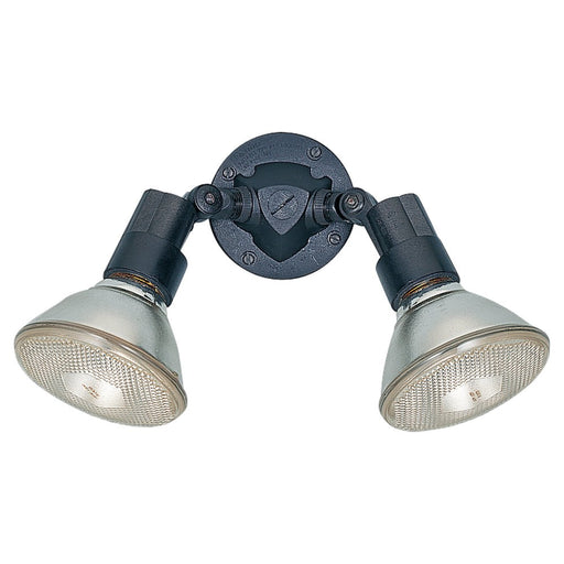 Generation Lighting 8642-12 Flood Light Two Light Flood Light, Black Main Image.jpg