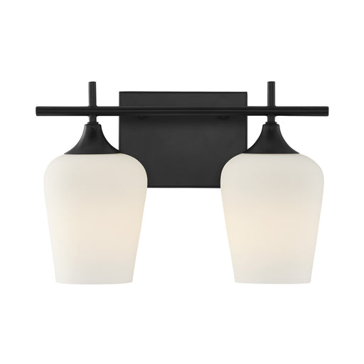 Savoy House 8-6030-2-BK Two Light Bathroom Vanity, 