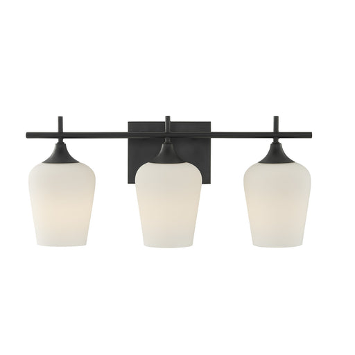 Savoy House 8-6030-3-BK Three Light Bathroom Vanity, 