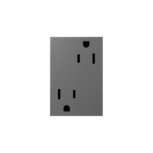 adorne® ARTR153M4 15A Dual Tamper-Resistant Plus-Size Outlet,Magnesium Alternate Image.jpg