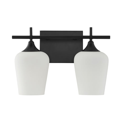 Savoy House 8-6030-2-BK Two Light Bathroom Vanity,  (2)