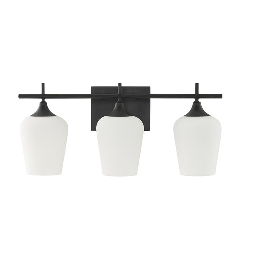 Savoy House 8-6030-3-BK Three Light Bathroom Vanity,  (2)