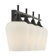Savoy House 8-6030-4-BK Four Light Bathroom Vanity,  (5)